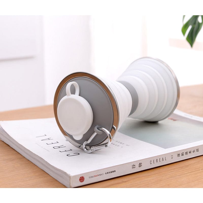 Collapsible Water Bottle- Gray